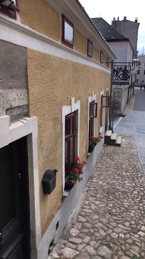 Apartament U Dr. Fausta Slavonice Zewnętrze zdjęcie